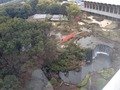 ガーデンタワーからの景色（庭園）のクチコミ写真