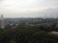 景色の赤坂御用地のクチコミ写真