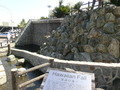 写真クチコミ:楽養の滝