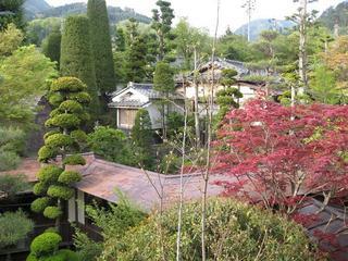 朝の風景