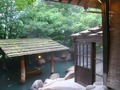 森の湯　露天風呂
