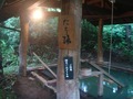 森の湯　立ち湯２