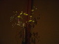 写真クチコミ:柱に花瓶