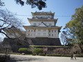 写真クチコミ:小田原城