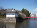 写真クチコミ:小田原城のお堀