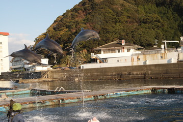 勝浦