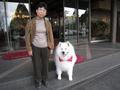 マスコット犬エンジェル