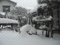 喫煙場所からの景色のクチコミ写真