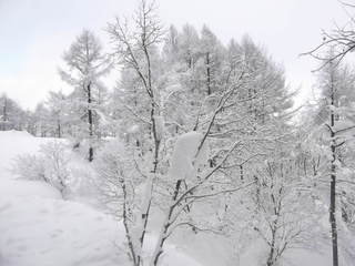 0001372_20120522132240_47305_m