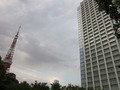 クチコミ:東京タワーとホテルの関係