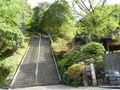写真クチコミ:日本一の石段