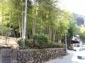 外からは高級！のクチコミ写真