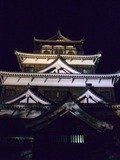ライトアップの広島城のクチコミ写真