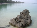 佐和田の浜