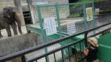 写真クチコミ:東公園