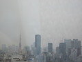 クチコミ:お部屋からの景色