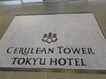 クチコミ:玄関マット