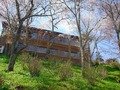 写真クチコミ:満開の桜に感激