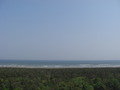 写真クチコミ:小川荘の周辺