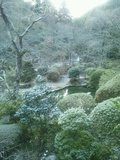写真クチコミ:山奥の秘湯の宿です