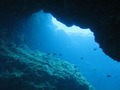 写真クチコミ:八丈ブルーの海