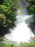 写真クチコミ:粟又の滝　増水中