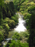 写真クチコミ:粟又の滝