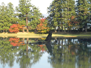 周辺の観光地　平泉・大泉が池(浄土庭園)