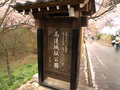 写真クチコミ:桜の名所　高遠城址公園