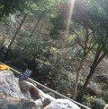 写真クチコミ:しいばの湯