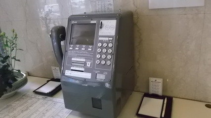 クチコミ:灰色もありました