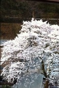 写真クチコミ:川沿いのホテル