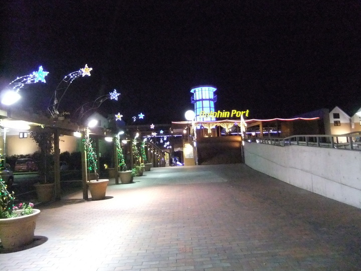 少し足を延ばして港の夜景を見に行きました